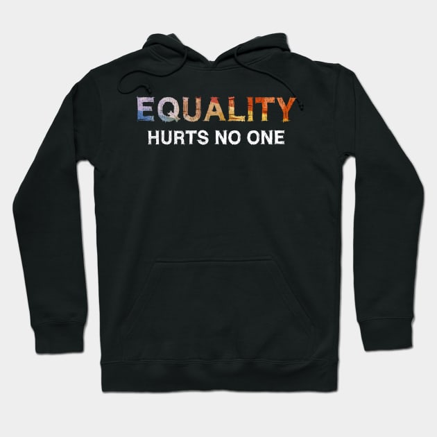 Pride Human Rights Lgbt Equality Hurts No One Hoodie by Rosemat